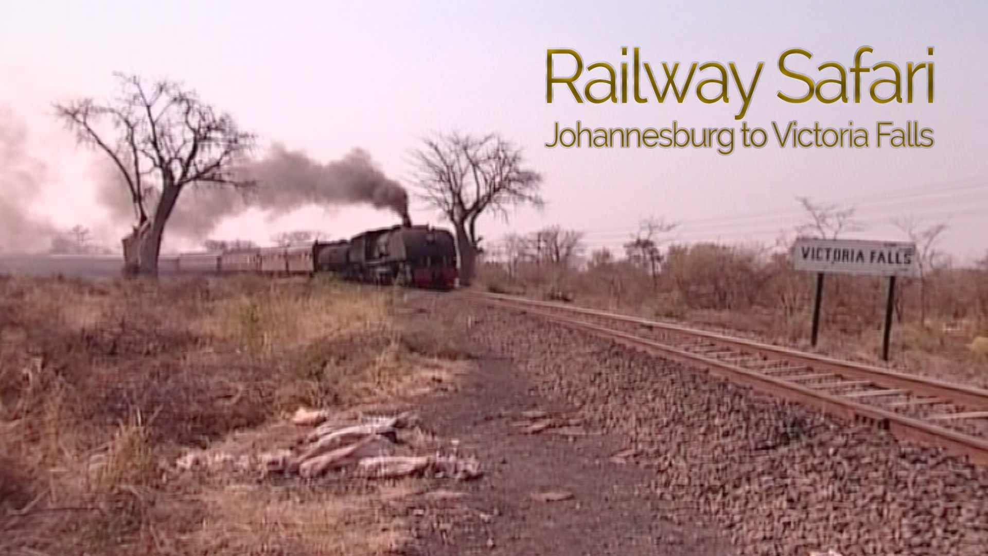 A Railway Safari