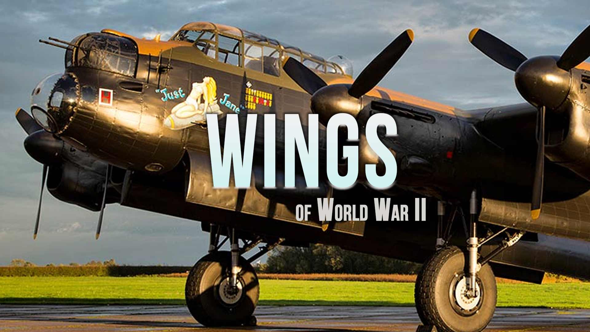 Wings of WWII